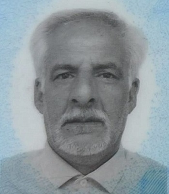 علی مانیزانی